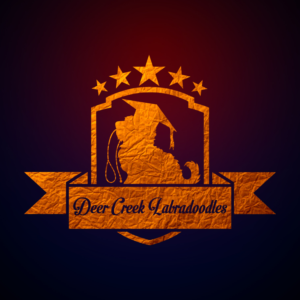 Logo Design by saiprasad18 for Deer Creek labradoodles | Design: #16880253