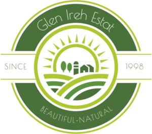 Logo Design by Enzo91