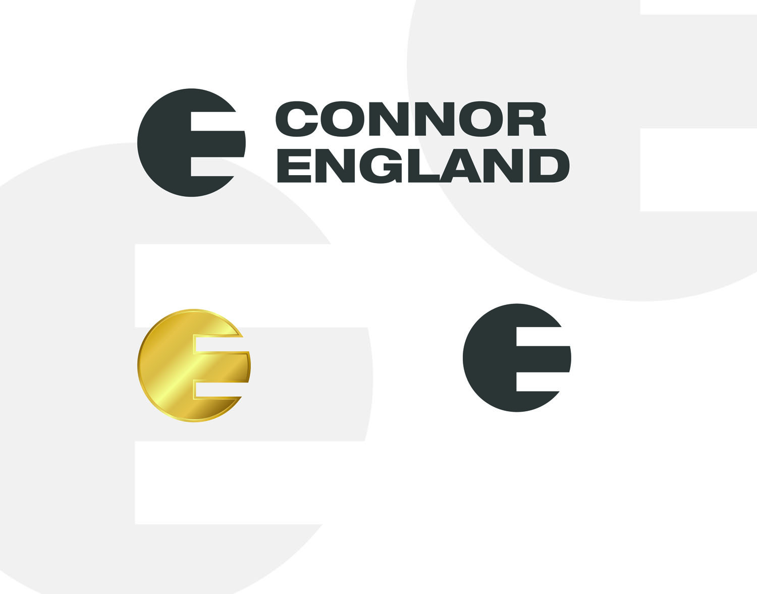 Logo Design by Designer Mate for this project | Design #16863025