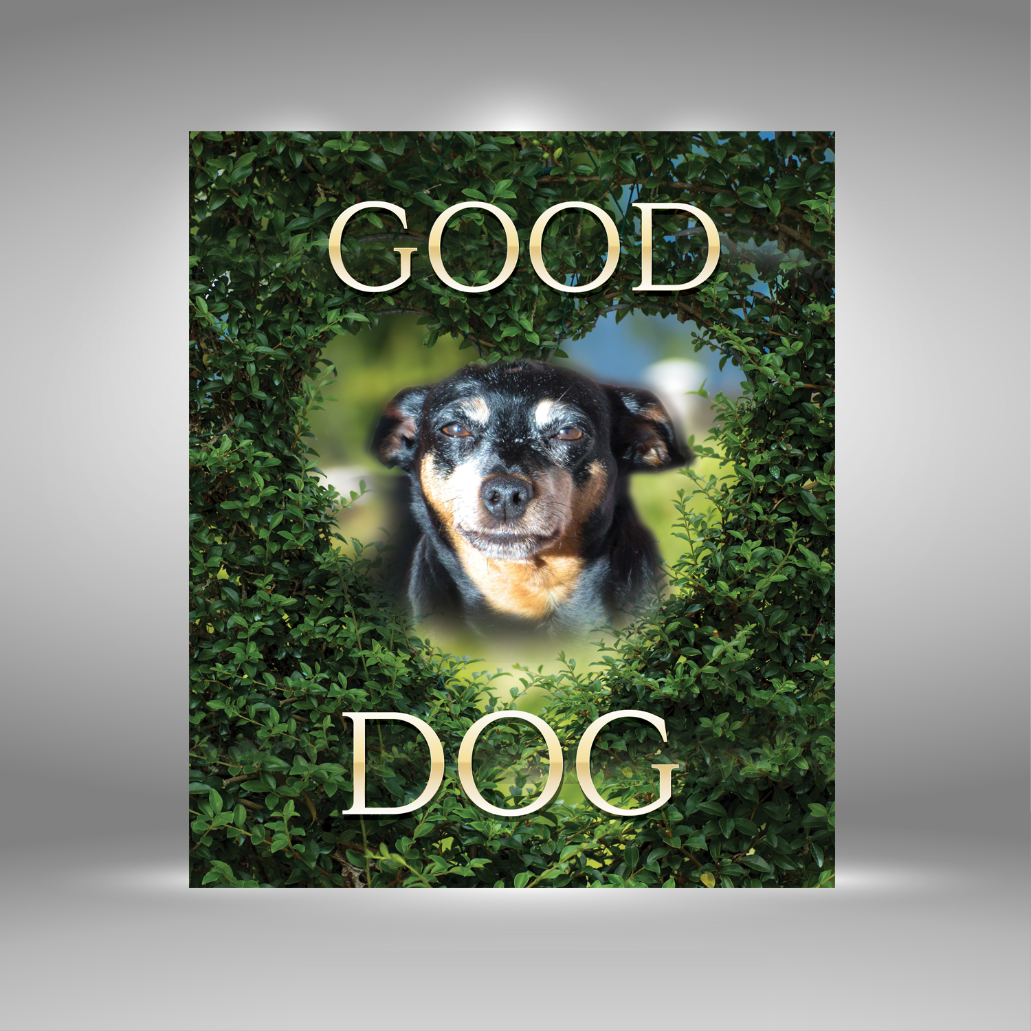 Poster Design by uk for this project | Design #16855566