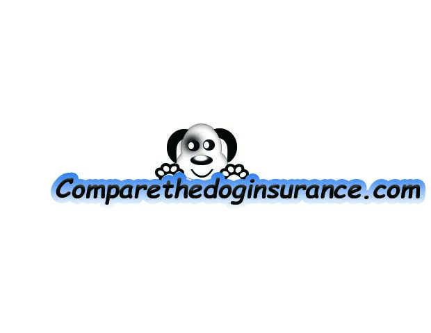 Logo Design by TS computer graphic for 123 Media buyers | Design #16937390