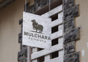 Logo Design by B.Tibéri for this project | Design: #16865544