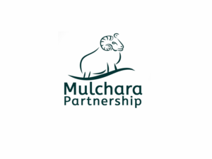 Logo Design by TB Designs for this project | Design: #16862520