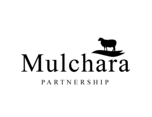 Logo Design by bc21 for this project | Design: #16870512