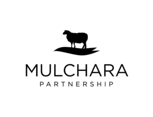 Logo Design by bc21 for this project | Design: #16870513