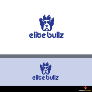 Logo Design by Graphic Bricks