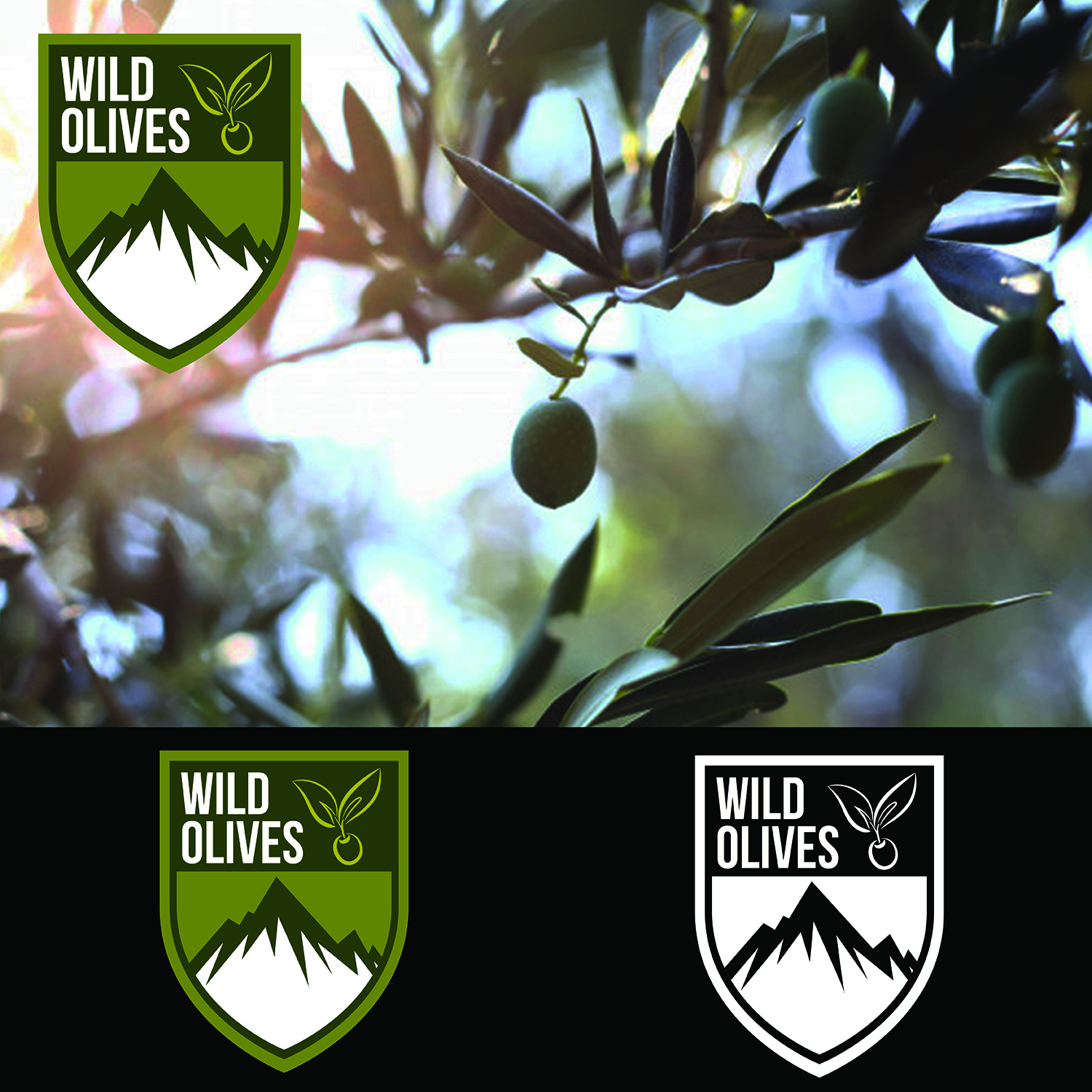 Logo Design by tearjerrky for this project | Design #16925164
