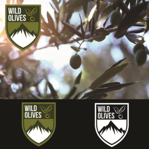 Logo Design by tearjerrky