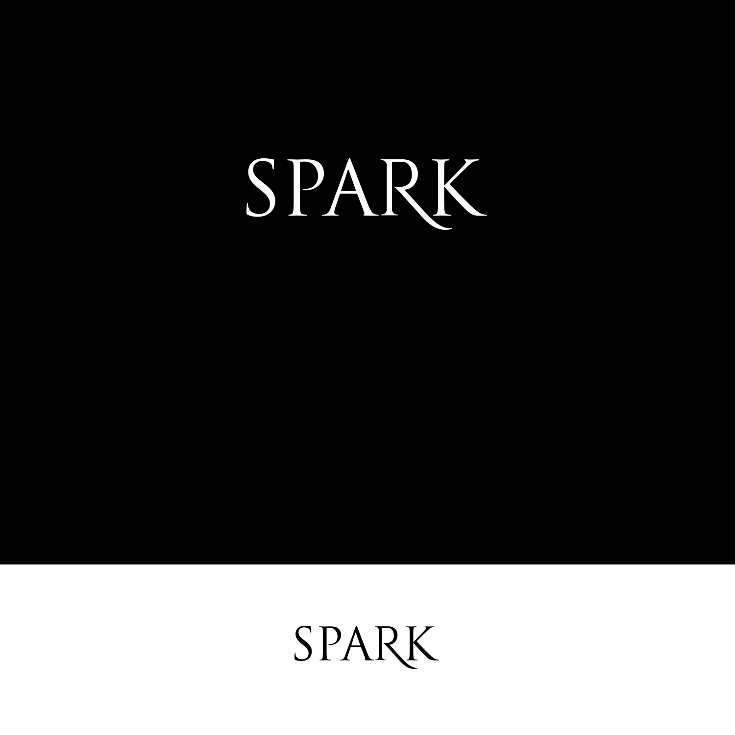 Logo Design by DesignDUO for this project | Design #16915409