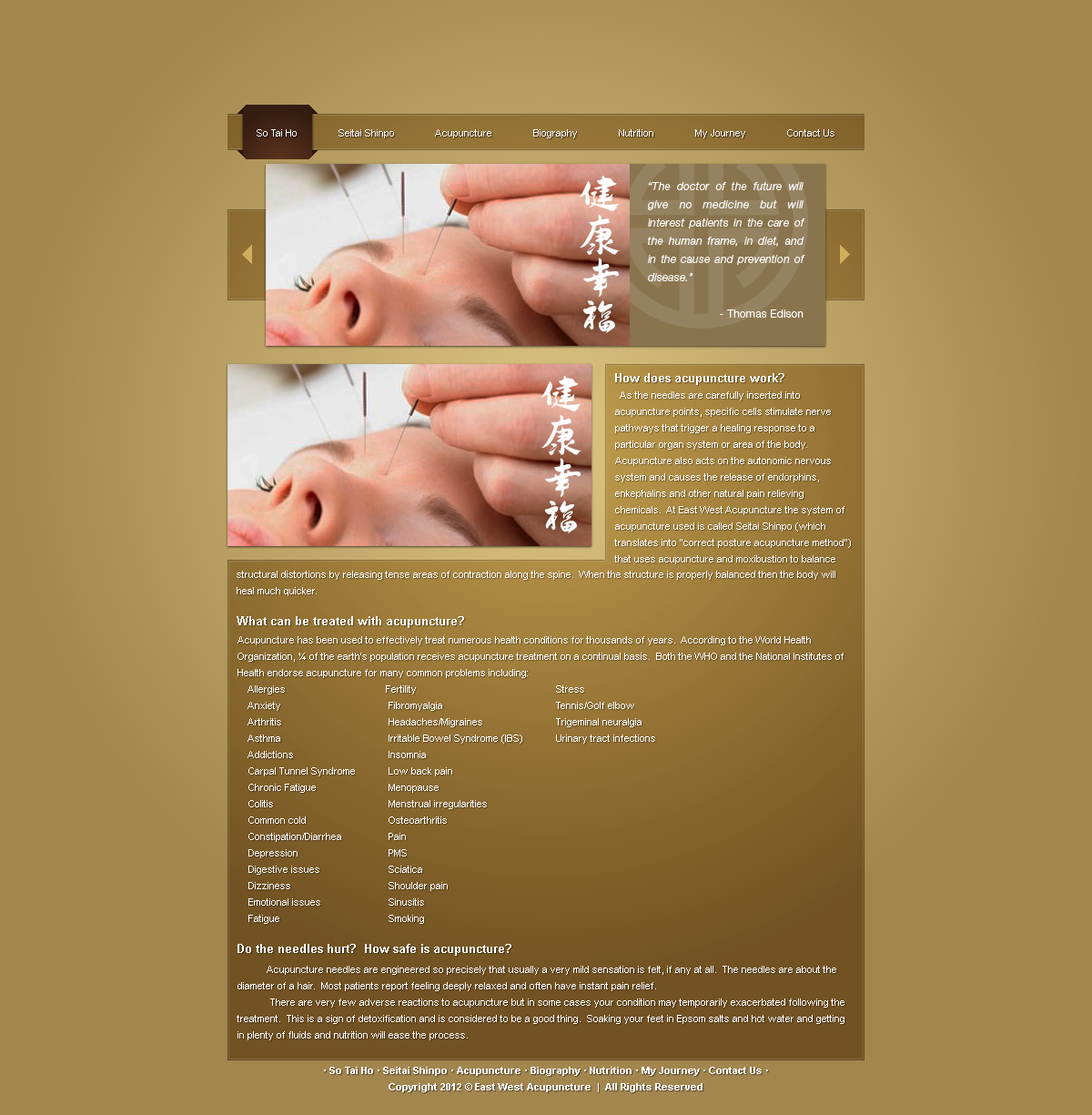 Web Design by Karl Kaju for this project | Design #632014