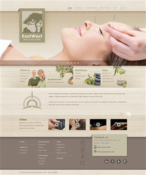 Web Design by Raoul Camion