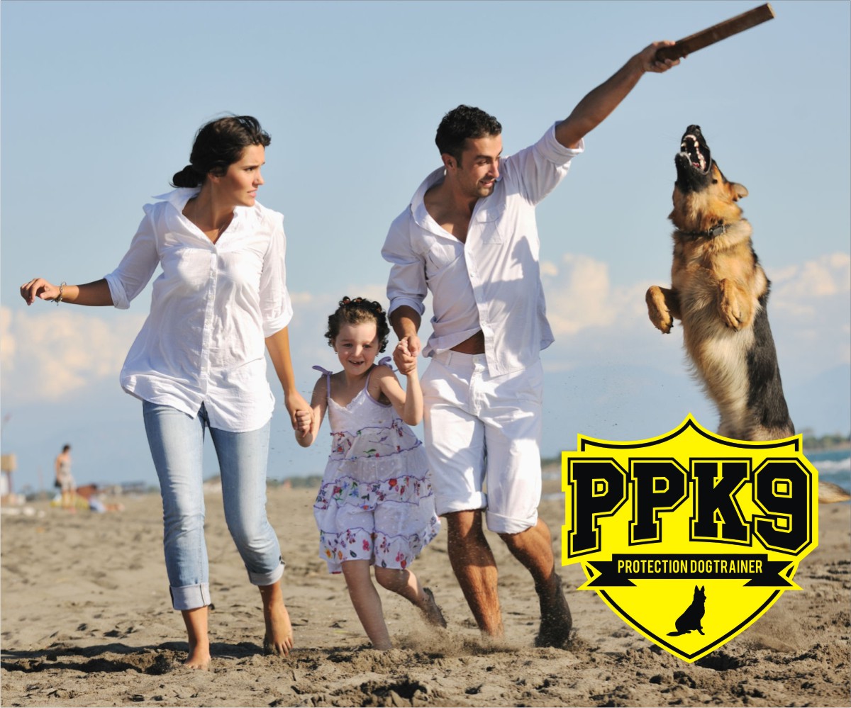 Logo Design by fathermonstercustom for this project | Design #2834048