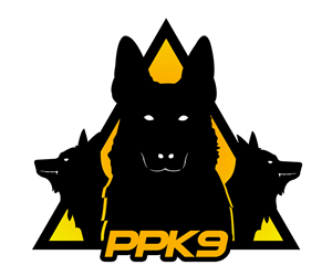 Logo Design by CreativeWyvern for this project | Design #2828042