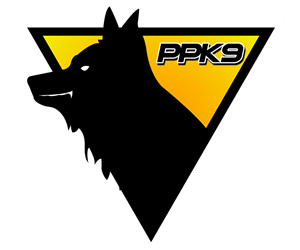Diseño de Logo por CreativeWyvern para este proyecto | Diseño: #2828123