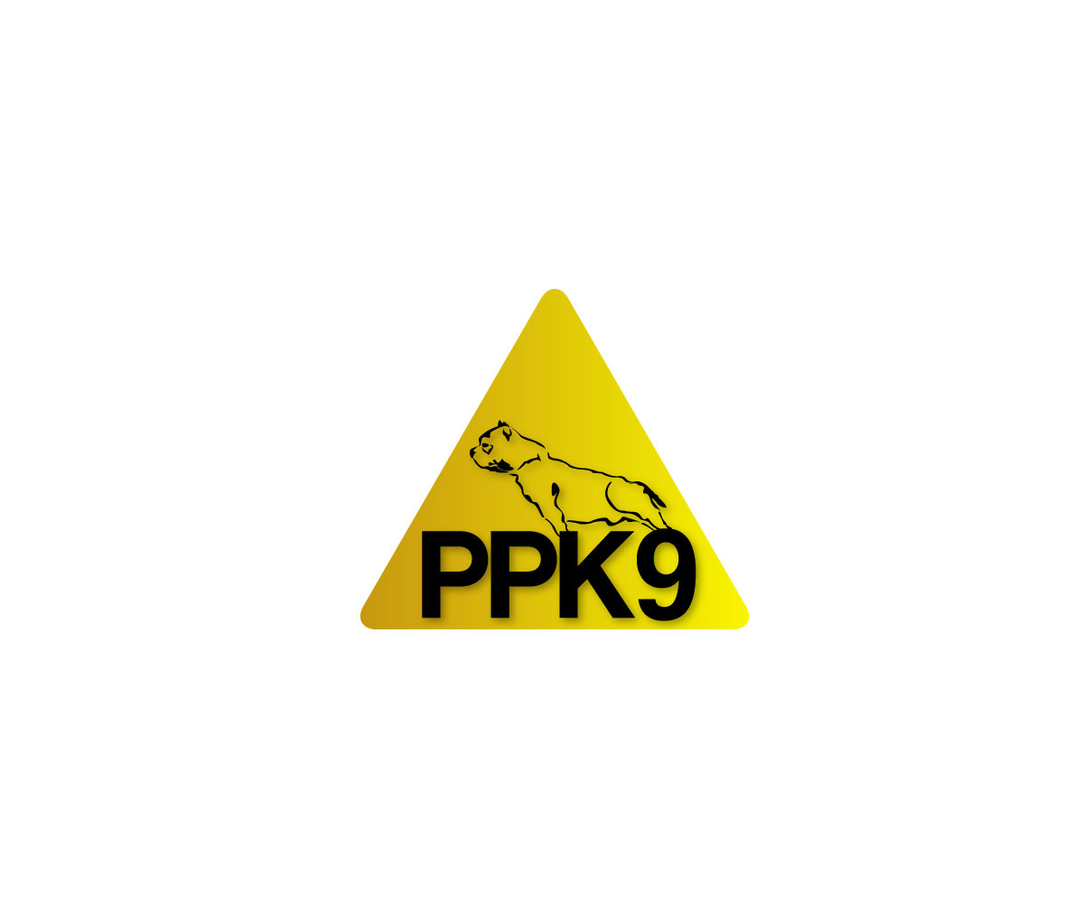 Diseño de Logo por Unicgraphs para este proyecto | Diseño #2839388