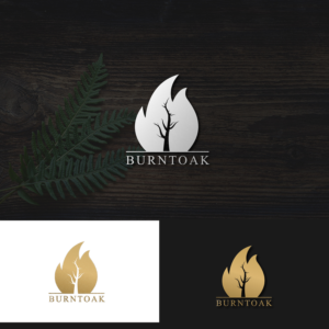 Logo Design by Fr30846