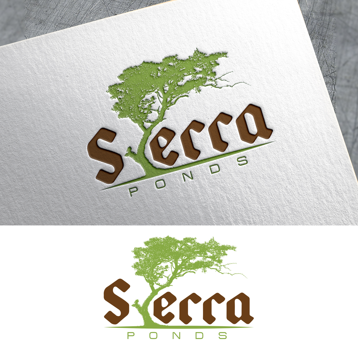 Logo Design by Impressive Solutions for this project | Design #16905062