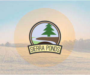 Logo Design by eMARK for this project | Design: #16915573