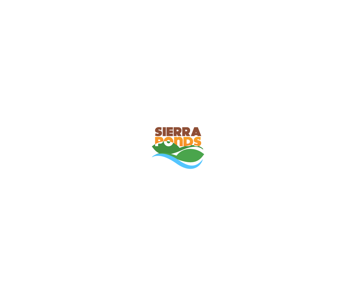 Logo Design by U. Solutions for this project | Design #16925984