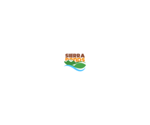 Logo Design by U. Solutions for this project | Design: #16925984
