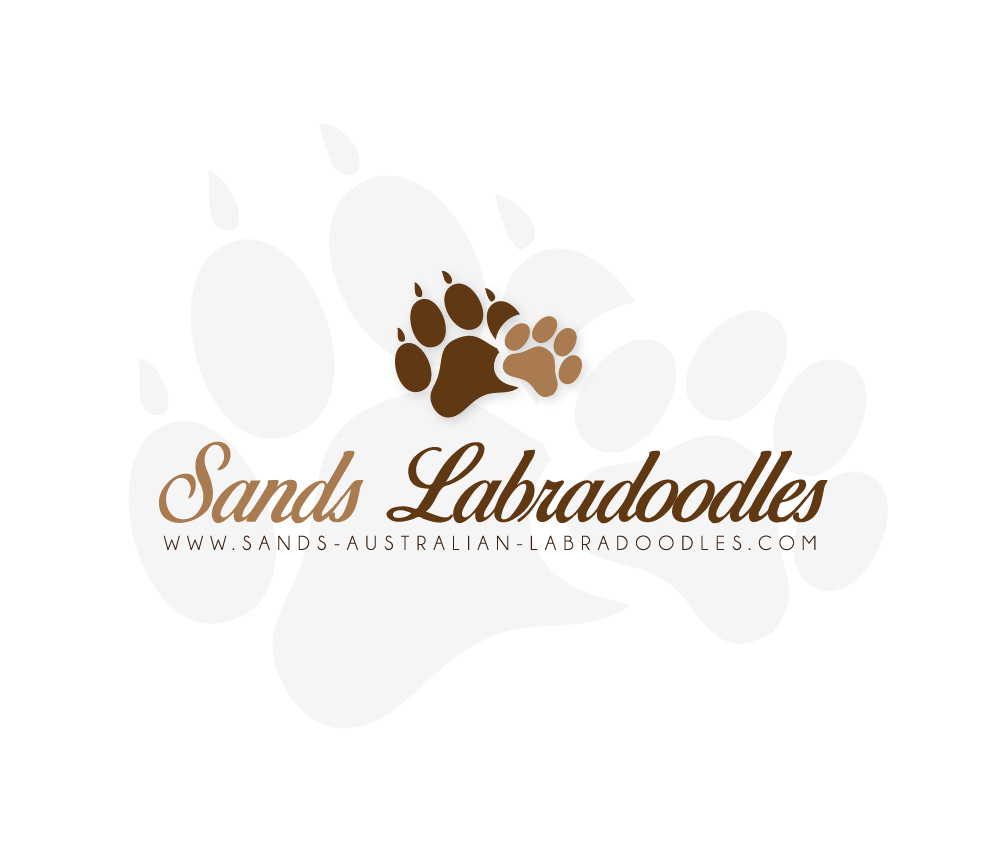 Logo Design by Mubeen786 for Catch & Chace | Design #16903294