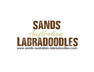 Logo-Design von NILDesigns für Catch & Chace | Design #16898189