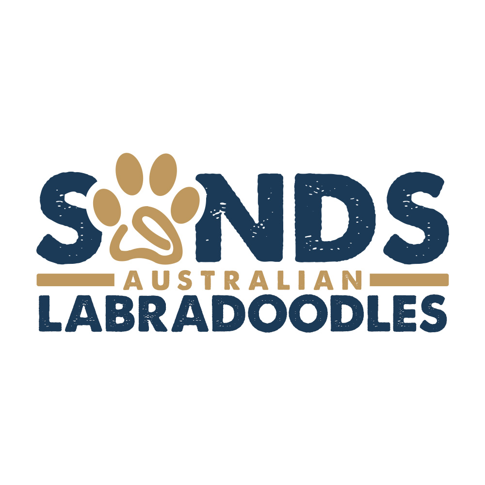 Logo Design by PsyPen for Catch & Chace | Design #16970327