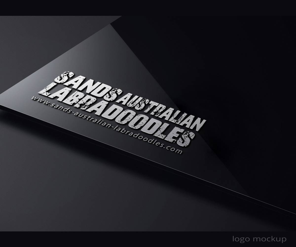 Diseño de Logo por zebronicgraphic para Catch & Chace | Diseño #16903244