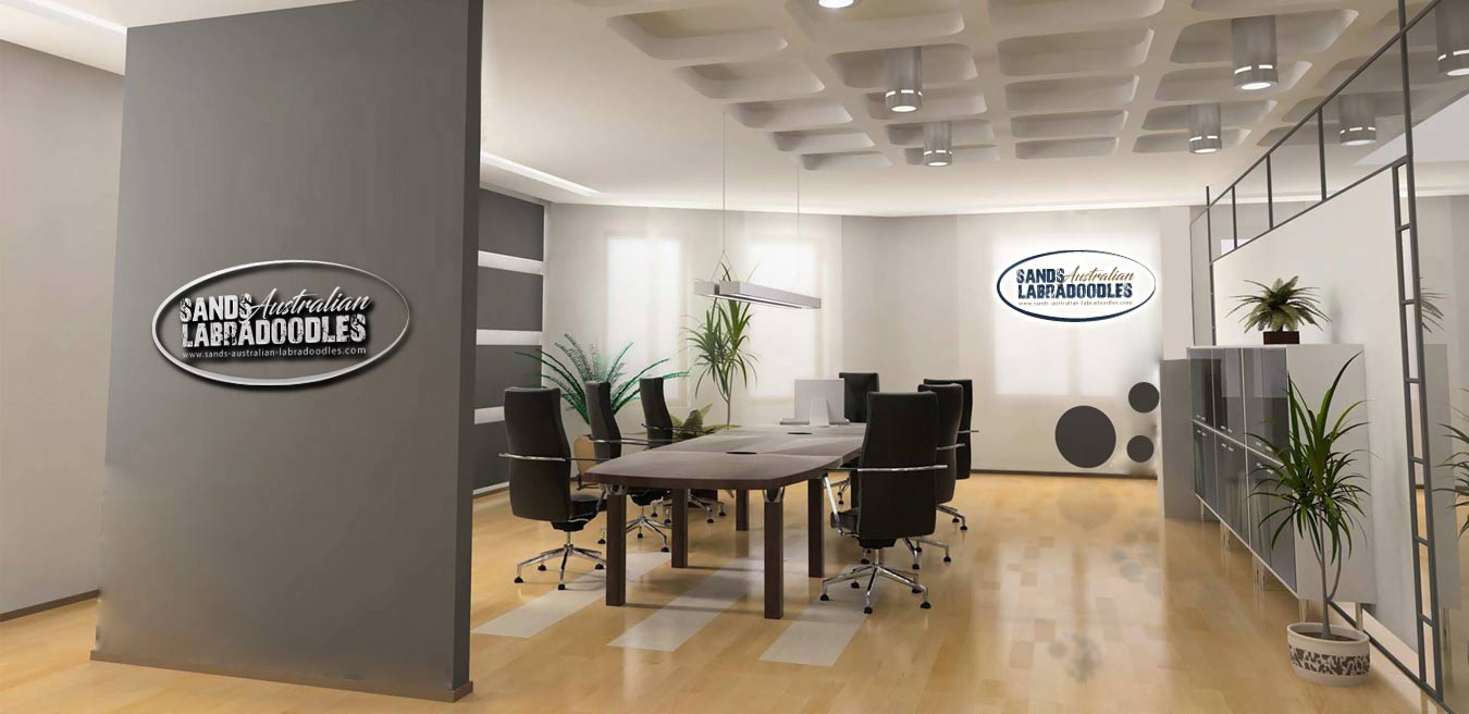 Diseño de Logo por zebronicgraphic para Catch & Chace | Diseño #16903255