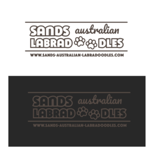 Logo-Design von Artur Zherdetskii für Catch & Chace | Design #16900677