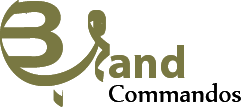 Logo Design by Irfan Ali