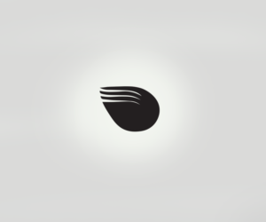 Logo Design by bere