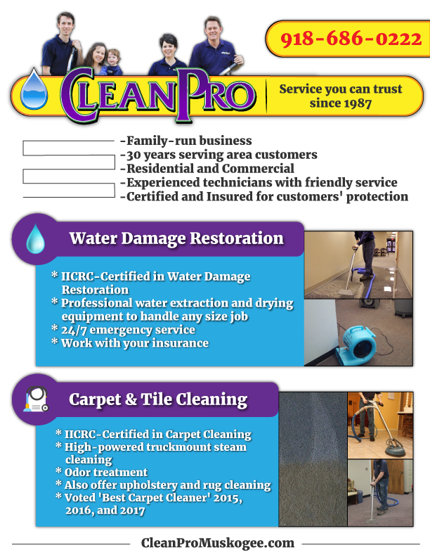 Flyer Design by HamzaMalik for Clean Pro | Design #16916818
