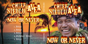 Chief's Luau CD cover design | CD-Cover-Design von Marta van Eck