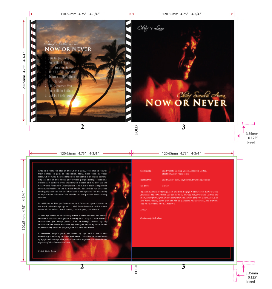 CD Cover Design by Miketerashi for this project | Design #17467666