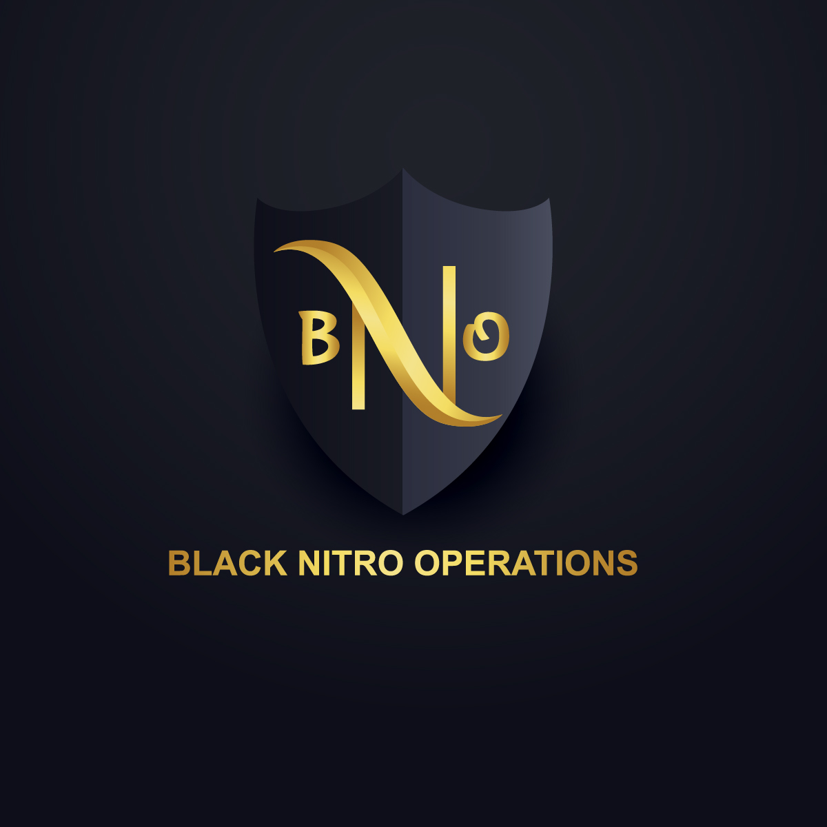 Logo Design by Mac 142440 for Black Nitro Operations | Design #17038330