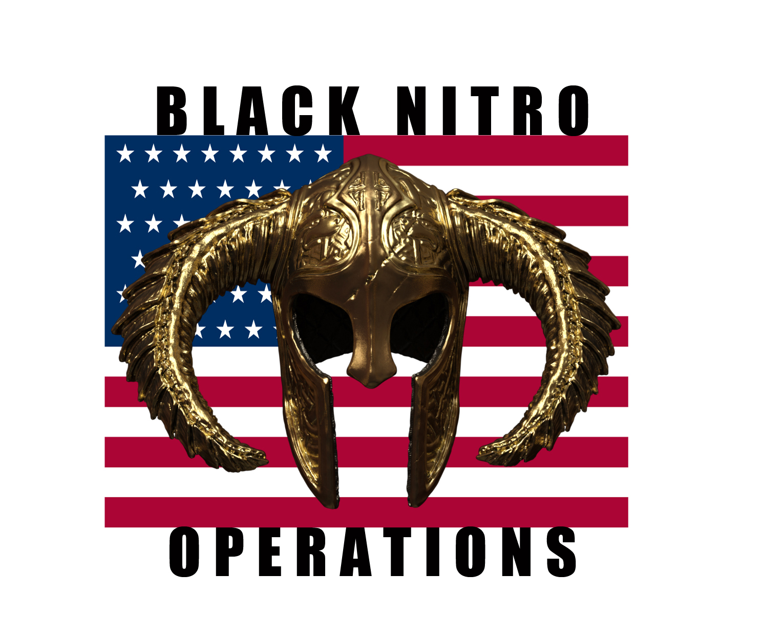 Logo Design by Lame Raven designs for Black Nitro Operations | Design #16948738