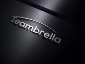 Logo Design by GaryMckinnon for this project | Design: #16942555