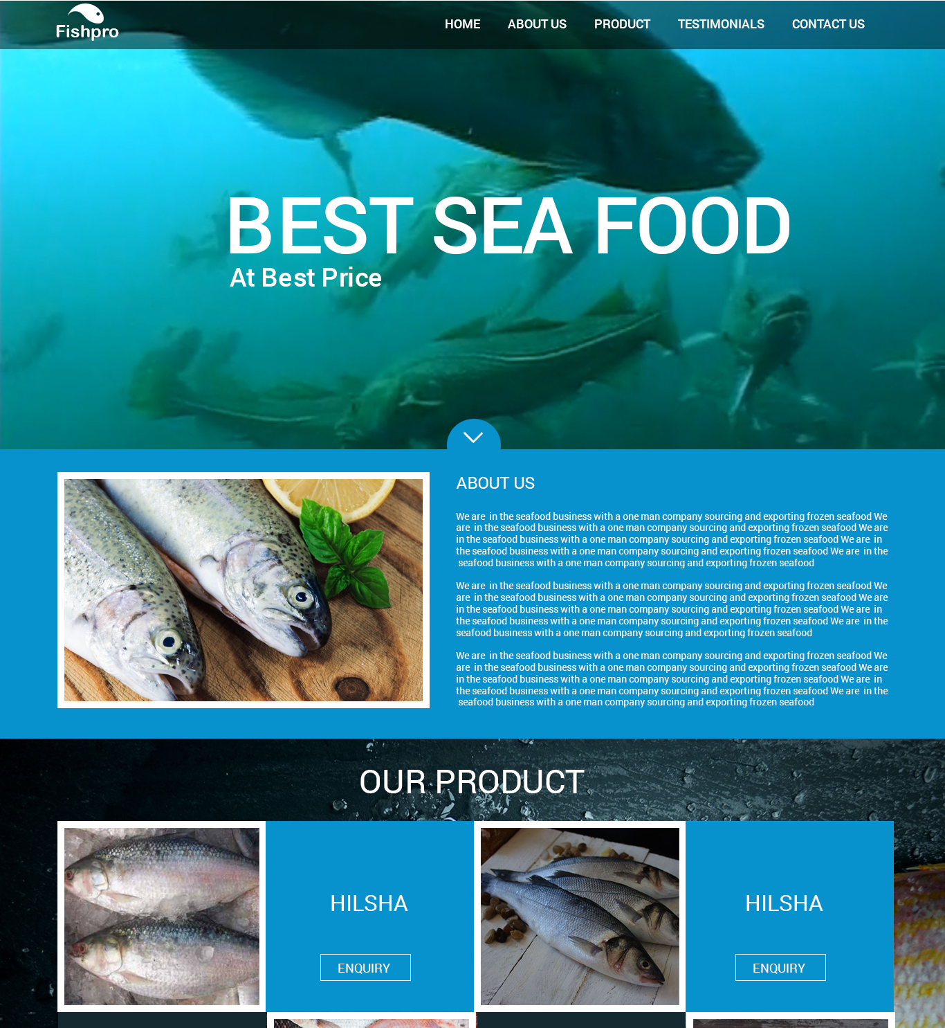 Web Design by Ravish Webdesigner for Fishpro | Design #17405853