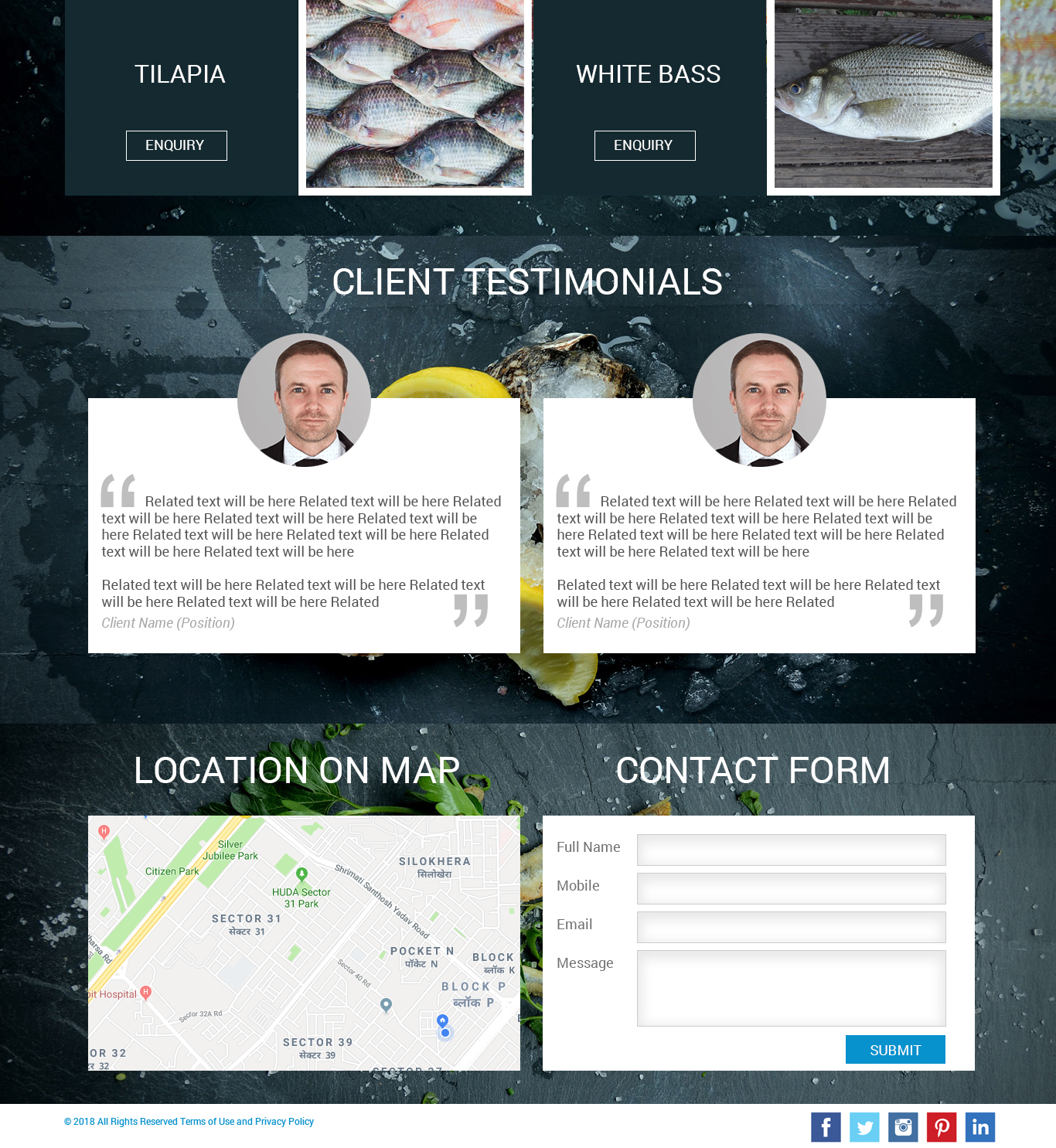 Web Design par Ravish Webdesigner pour Fishpro | Design #17405854