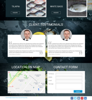 Web Design par Ravish Webdesigner pour Fishpro | Design #17405854