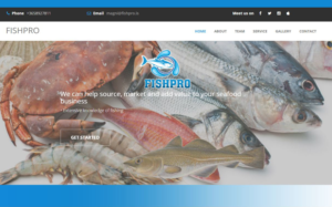Web Design par paulkanjosh pour Fishpro | Design : #17050887