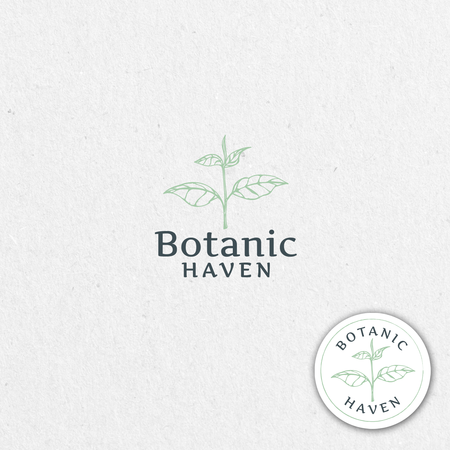 Logo Design by katrine for Botanic Haven | Design #17051483