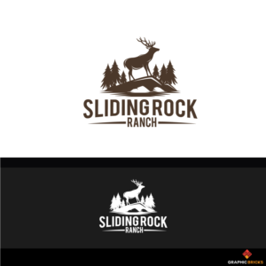 Logo Design by Graphic Bricks