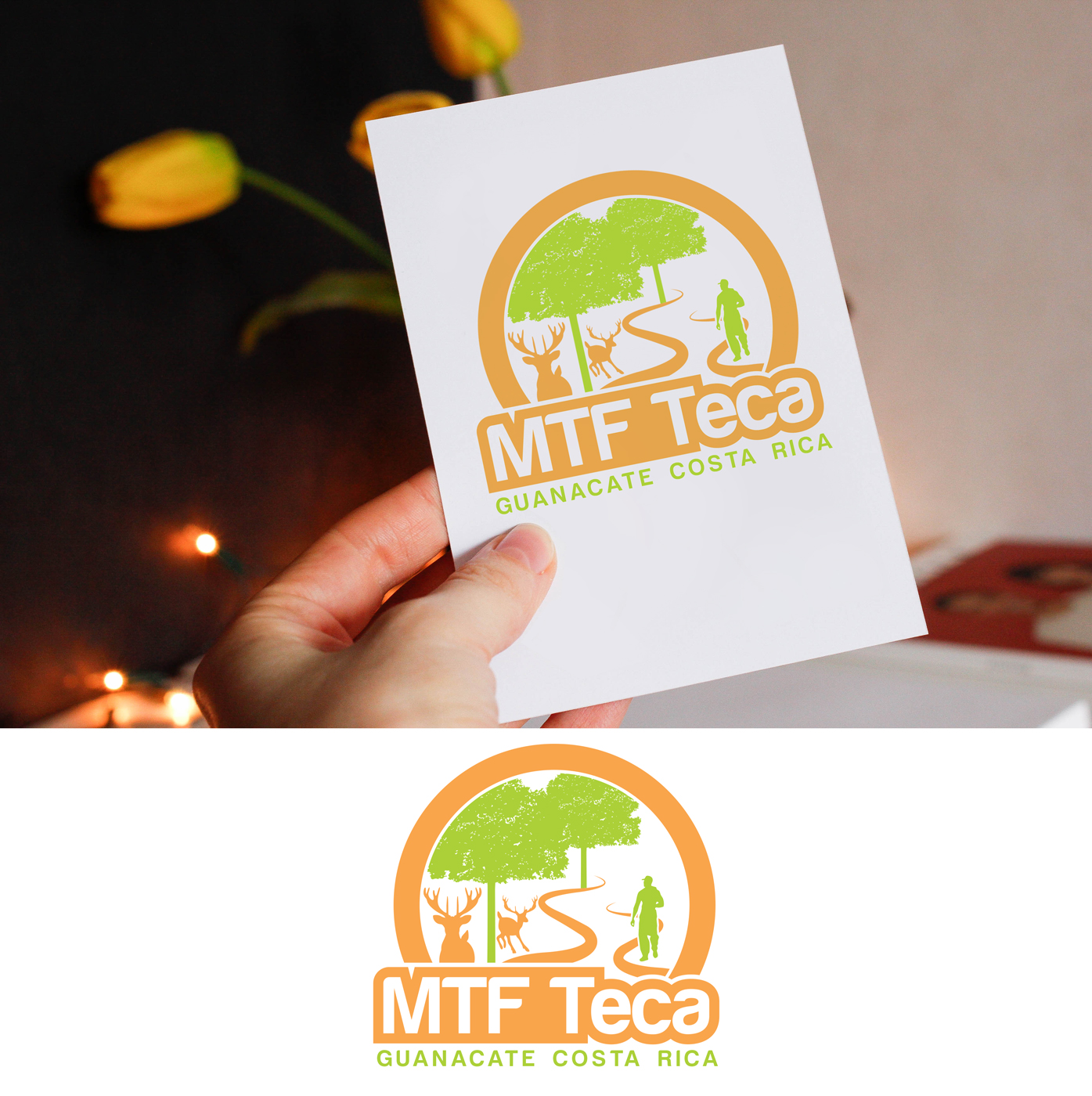 Design de Logo par Impressive Solutions pour MTF Teca de Costa Rica | Design #16942003