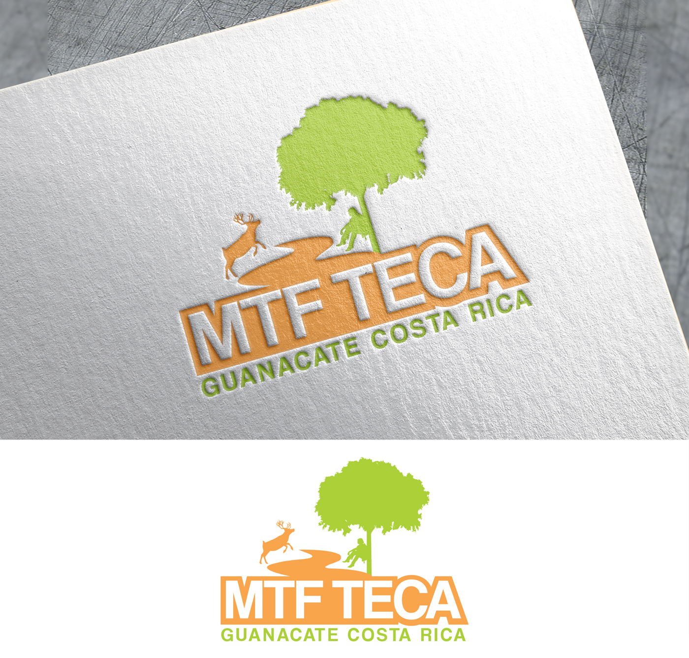 Design de Logo par Impressive Solutions pour MTF Teca de Costa Rica | Design #16942004