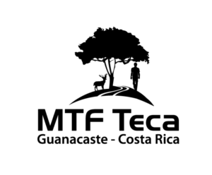 Logo Design by zebronicgraphic for MTF Teca de Costa Rica | Design: #16984959
