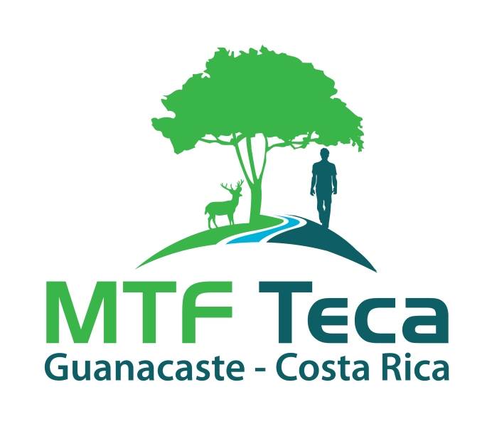 Logo Design by zebronicgraphic for MTF Teca de Costa Rica | Design #17002659