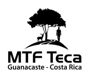 Logo Design by zebronicgraphic for MTF Teca de Costa Rica | Design: #17002697