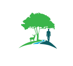 Logo Design by zebronicgraphic for MTF Teca de Costa Rica | Design: #17002812